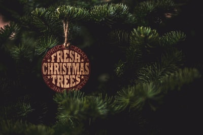 新鲜的圣诞树在松树的标签
